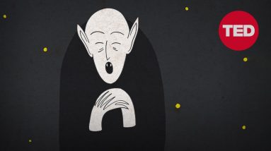 How to deal with your insomnia — and finally get to sleep | Sleeping with Science 20 How to deal with your insomnia — and finally get to sleep | Sleeping with Science