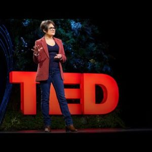 How to Stop Banks from Investing in Fossil Fuels  | Lucie Pinson | TED